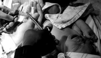 DSC02088BW.jpg