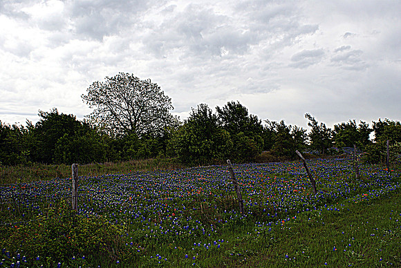 DSC04082
