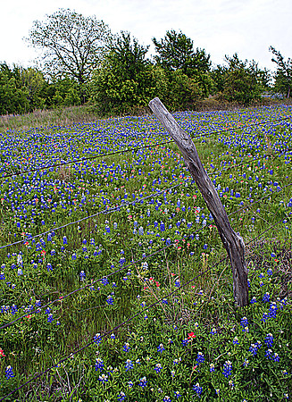DSC04084