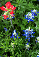 DSC04088