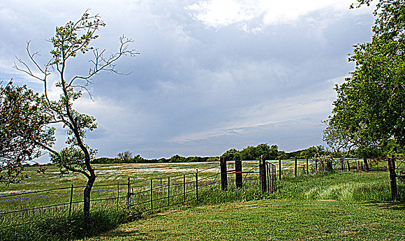 DSC04095