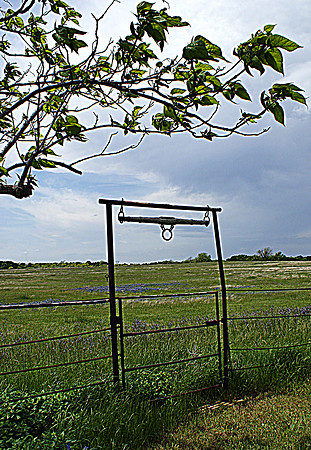 DSC04093