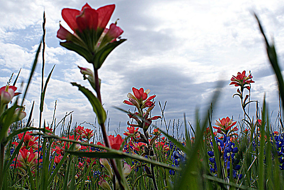 DSC04110