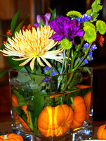 DSC00096.JPG